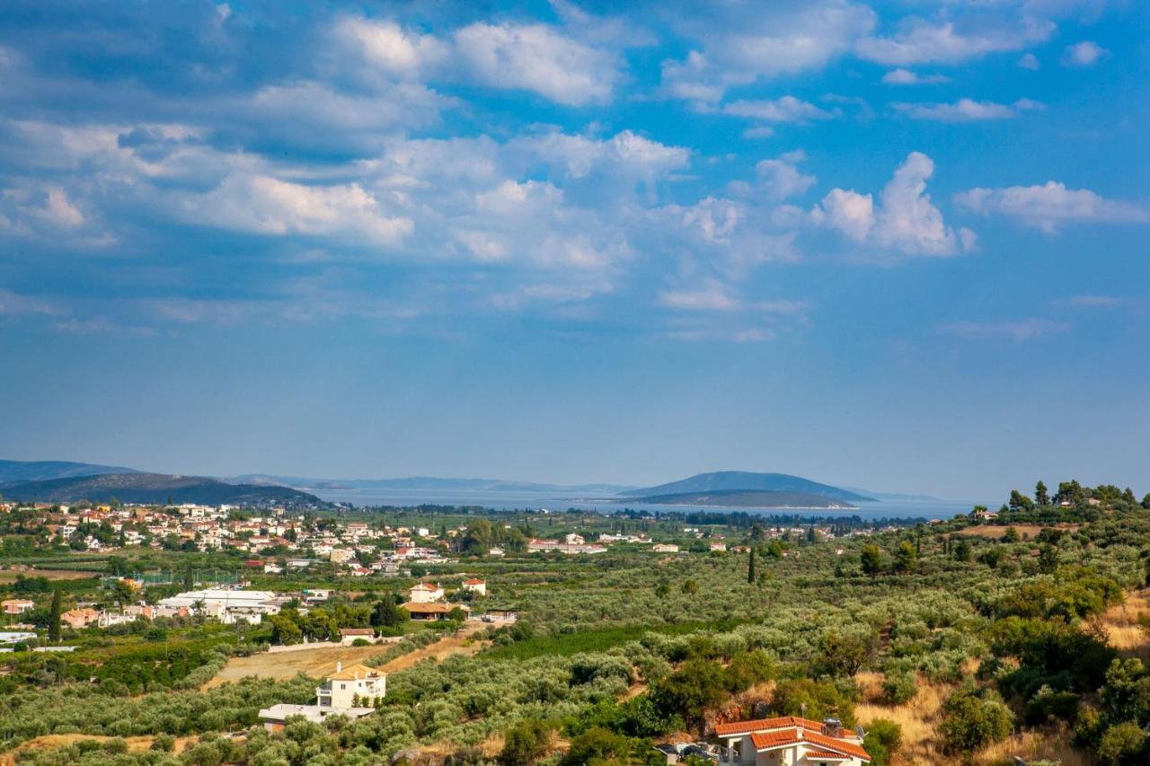 Aeolus Luxury Apartment - I Nafplio Bagian luar foto